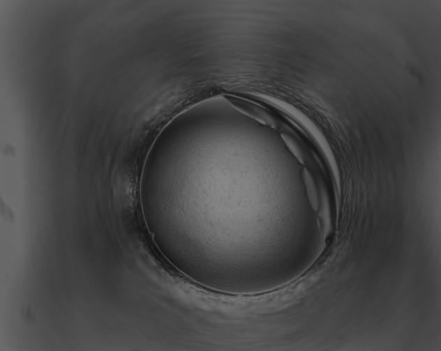 X0000090890039200708031102