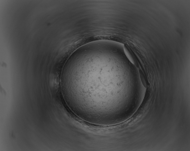 X0000090890040200708031102