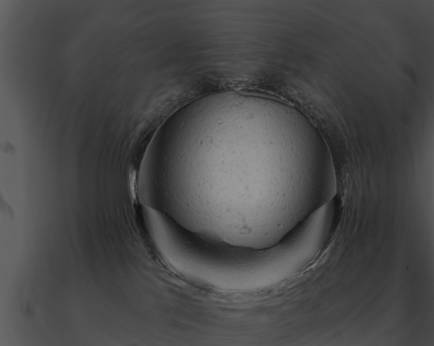 X0000090890041200708031102