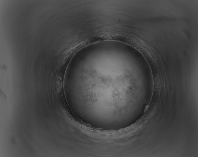 X0000090890043200708031102