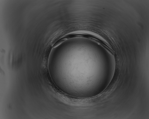 X0000090890044200708031102