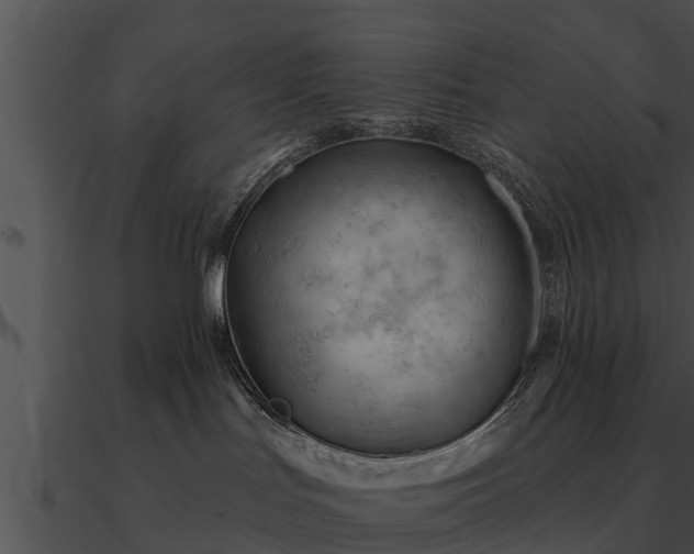 X0000090890047200708031102