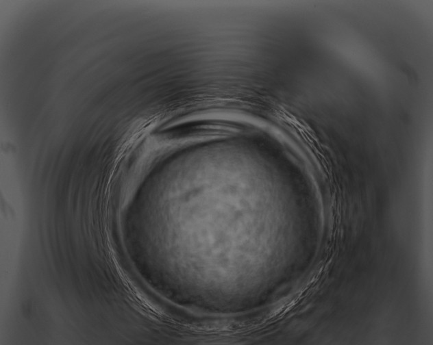 X0000090890049200708031101