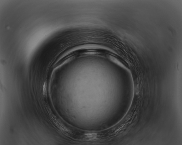 X0000090890052200708031101