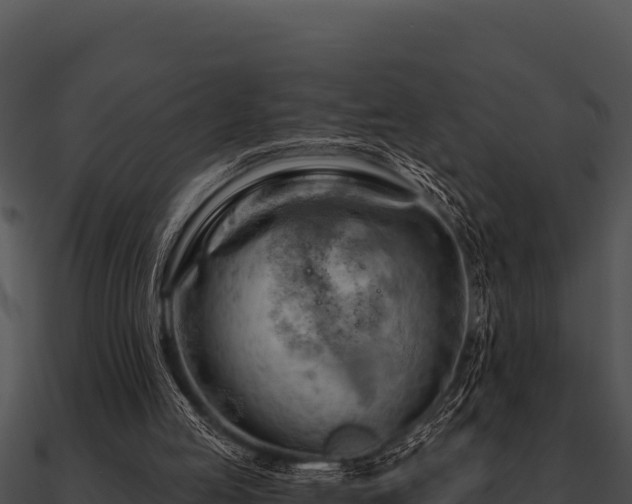 X0000090890053200708031101