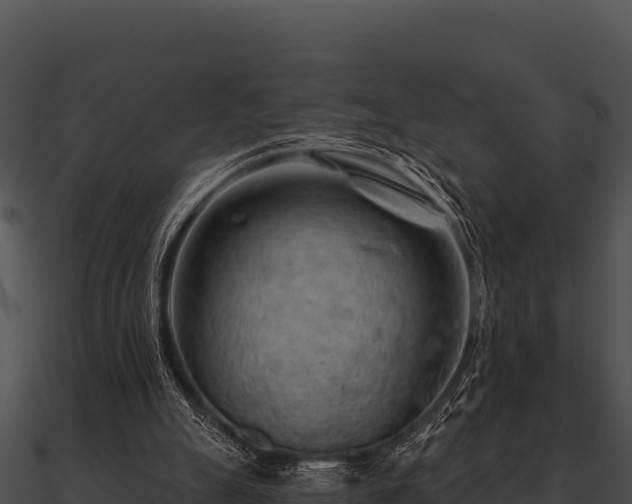 X0000090890055200708031101