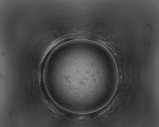 X0000090890056200708031101