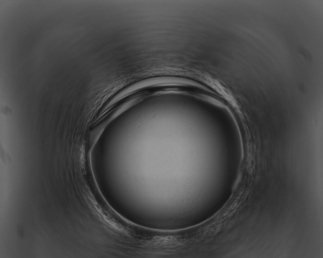 X0000090890057200708031101