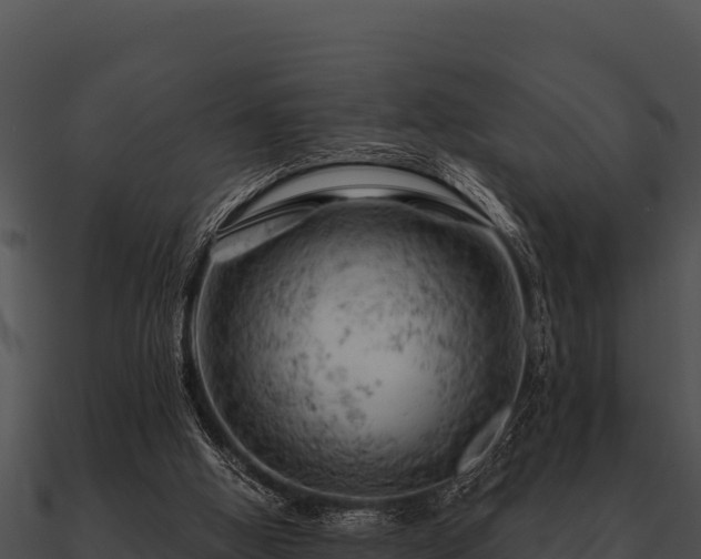 X0000090890058200708031101