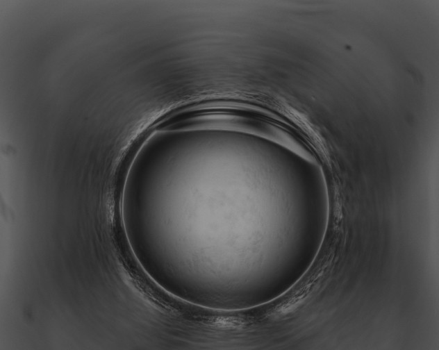 X0000090890060200708031101