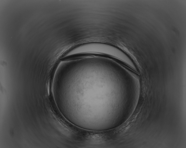 X0000090890062200708031101