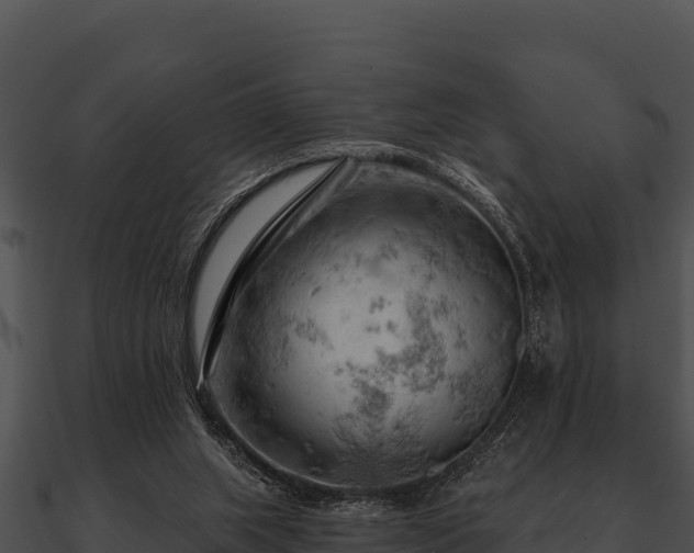 X0000090890063200708031101