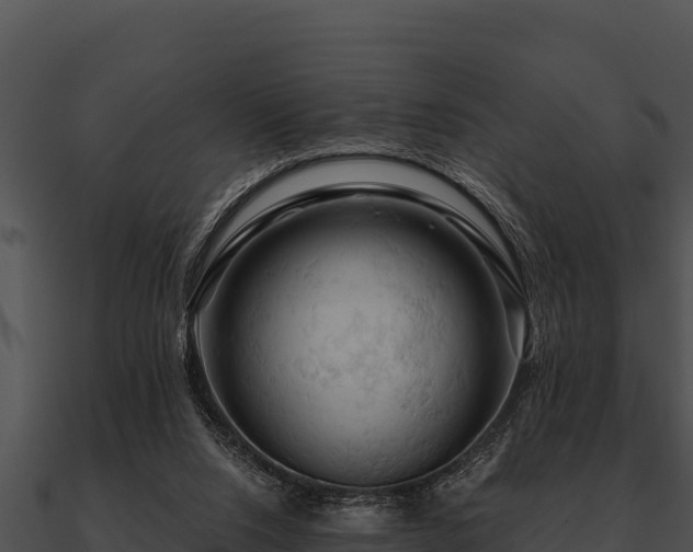 X0000090890064200708031101