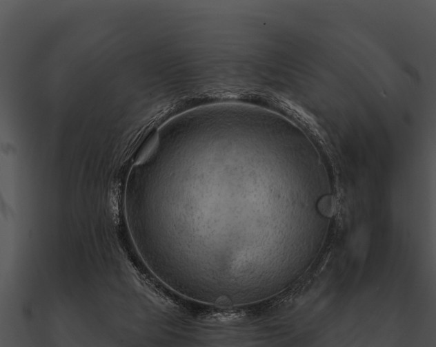 X0000090890065200708031101