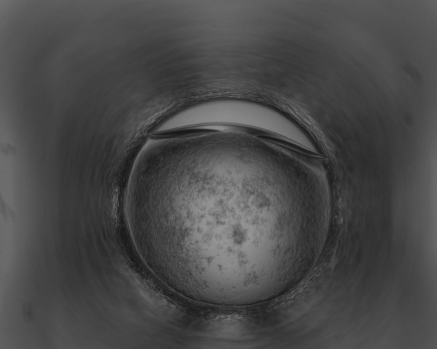 X0000090890066200708031101