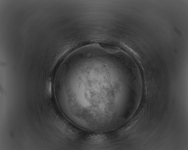 X0000090890067200708031101