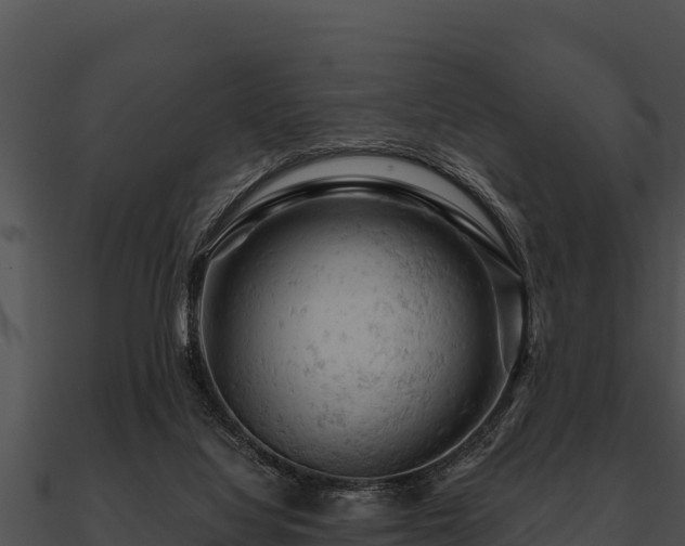 X0000090890068200708031101