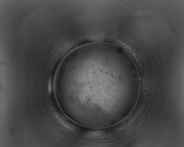 X0000090890069200708031101