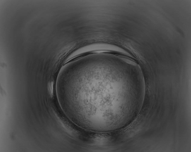 X0000090890070200708031101