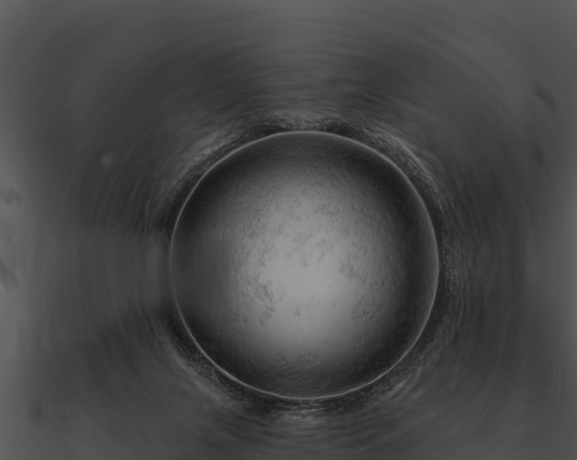 X0000090890071200708031101