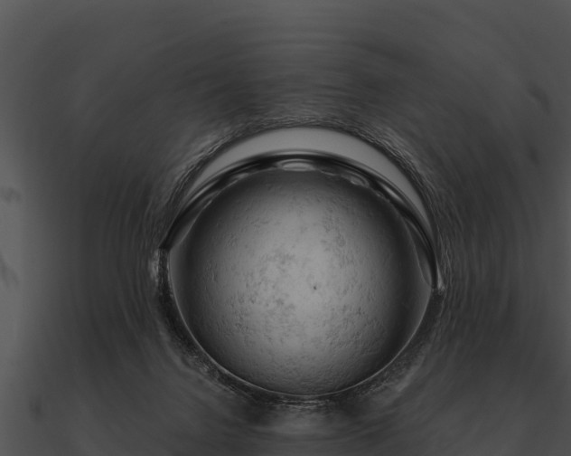 X0000090890072200708031101