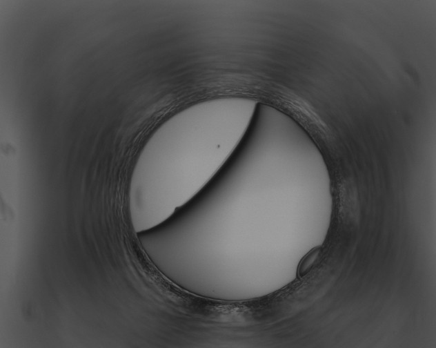 X0000090890073200708031101