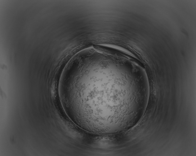 X0000090890074200708031101