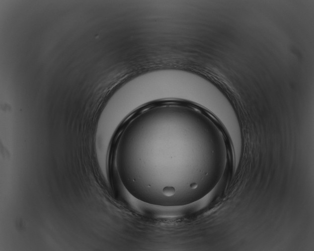 X0000090890076200708031101