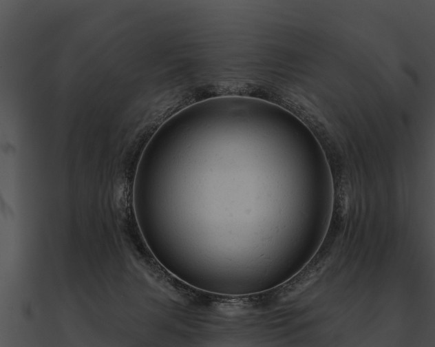 X0000090890079200708031101