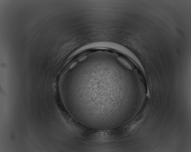 X0000090890080200708031102