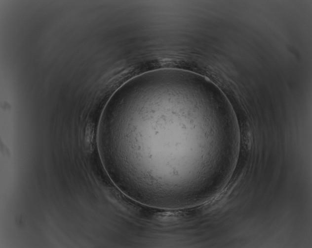 X0000090890082200708031102