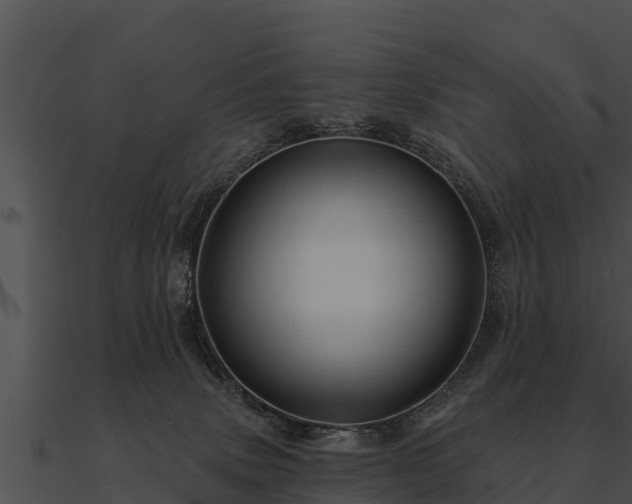 X0000090890083200708031102