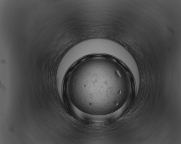 X0000090890084200708031102