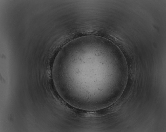 X0000090890085200708031102