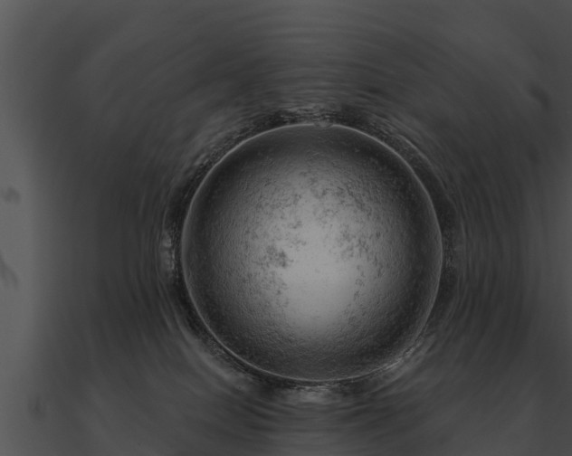 X0000090890086200708031102