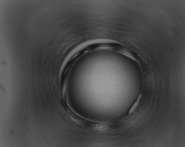 X0000090890088200708031102