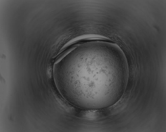 X0000090890090200708031102