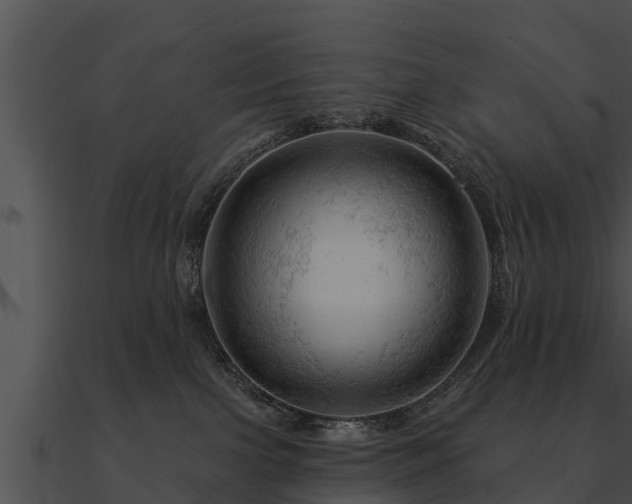 X0000090890091200708031102