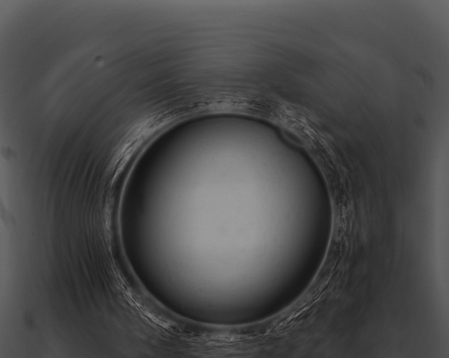 X0000090890098200708031101