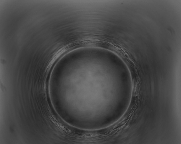 X0000090890099200708031101