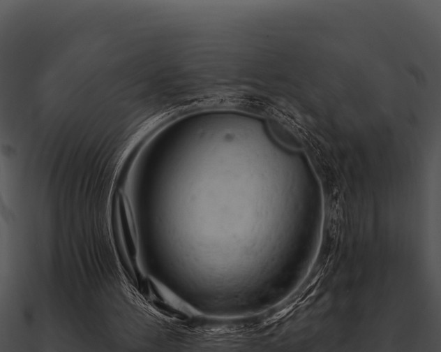 X0000090890100200708031101