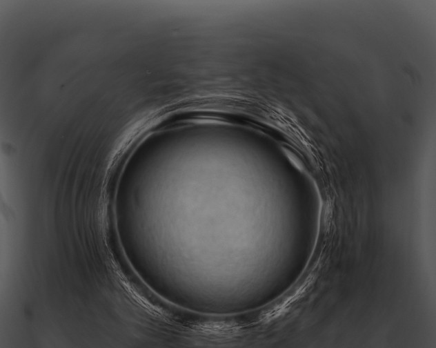 X0000090890101200708031101