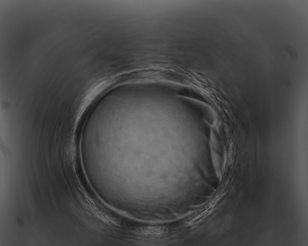 X0000090890102200708031101