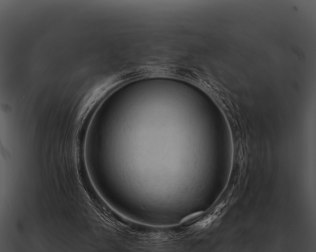 X0000090890103200708031101