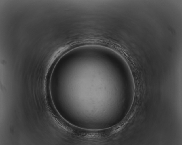 X0000090890104200708031101