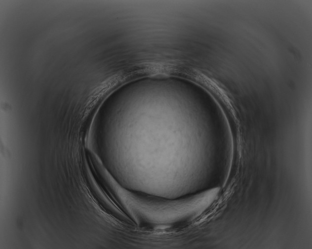 X0000090890105200708031101