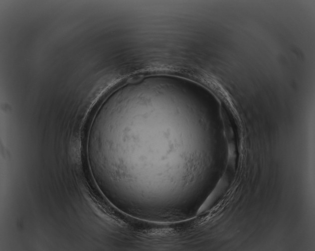 X0000090890108200708031101