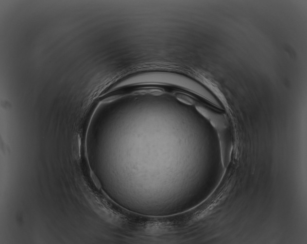 X0000090890109200708031101