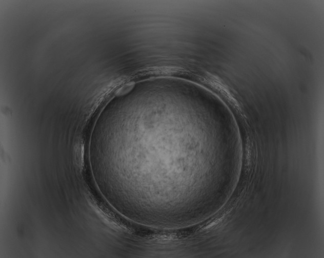 X0000090890110200708031101