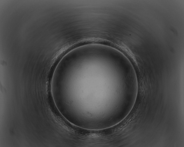 X0000090890111200708031101